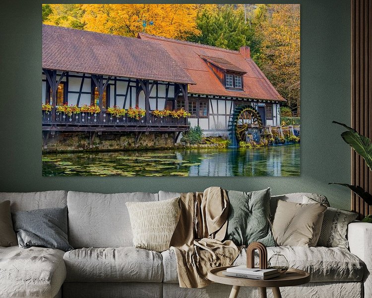 Aperçu de la chambre