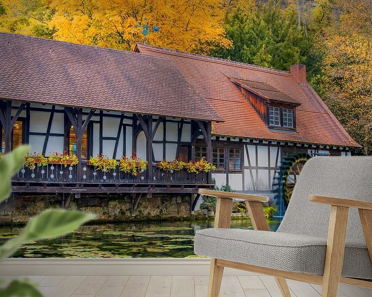 Aperçu de la chambre