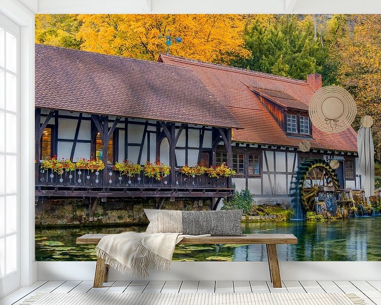 Aperçu de la chambre