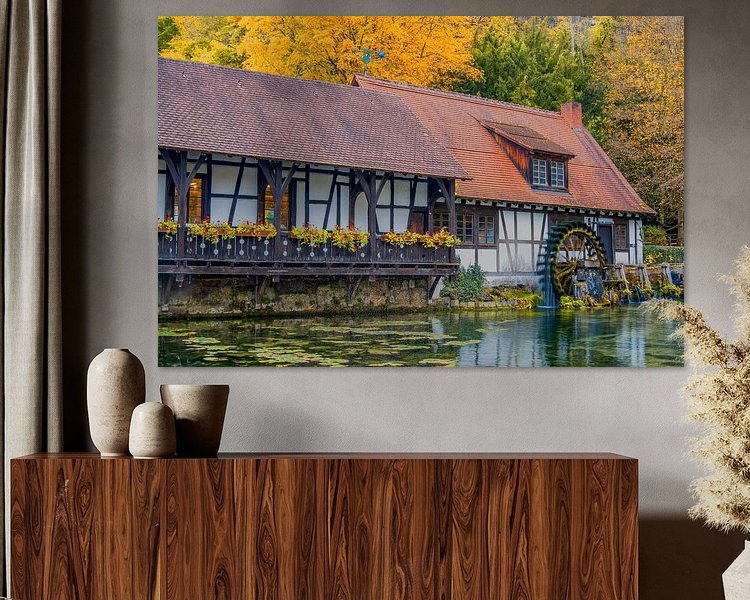 Aperçu de la chambre