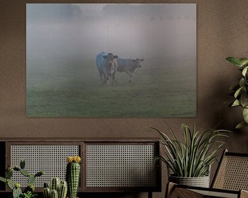 Koeien in de mist van Ralf Bankert