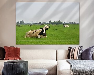 Koeien in Friesland van Michael de Boer