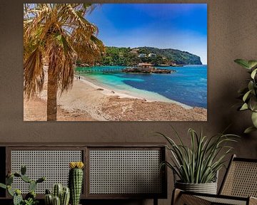 Blick auf die Strandbucht von Camp de Mar auf der Insel Mallorca, Spanien von Alex Winter