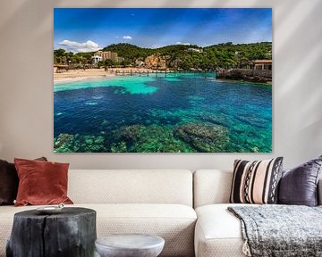 Vue idyllique de la plage de la baie de Camp de Mar sur l'île de Majorque, en Espagne. sur Alex Winter