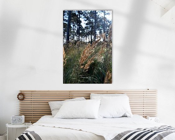 Raumvorschau