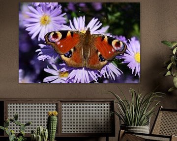 Een kleurrijke vlinder van Ulrike Leone