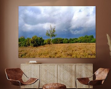 Donkere wolken boven een heideveld op de Lemelerberg van Sjoerd van der Wal Fotografie