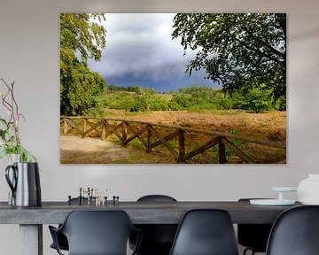 Donkere wolken boven een heideveld op de Lemelerberg van Sjoerd van der Wal Fotografie