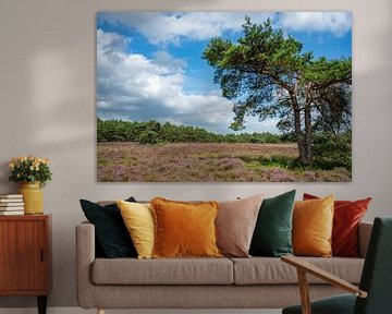 Bruyères et pins en fleurs sur Sjoerd van der Wal Photographie