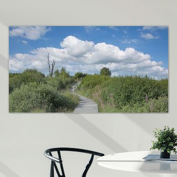 Wanderweg im Hohen Venn,Eifel von Peter Eckert