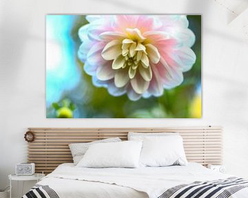 White Pink Dahlia by By Karin