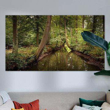 Mysteriöse niederländische Waldlandschaft