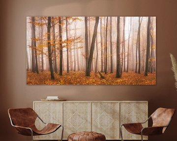 Bunter Herbstwald von Tobias Luxberg