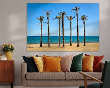 Palm trees on the sandy beach of Roquetas del mar Almeria Andalucia Spain by Dieter Walther