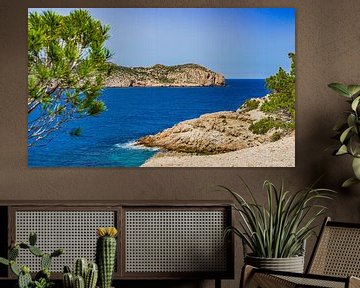 Het eiland Sa Dragonera nationaal park, aan de kust van Sant Elm Mallorca, Spanje van Alex Winter