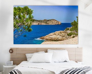 Het eiland Sa Dragonera nationaal park, aan de kust van Sant Elm Mallorca, Spanje van Alex Winter