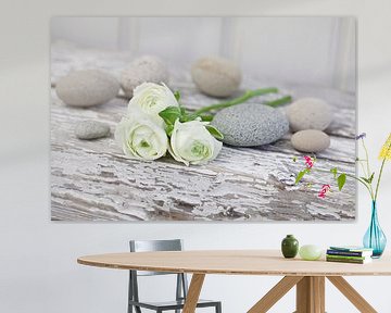 White ranunculus and pebbles by Andrea Haase