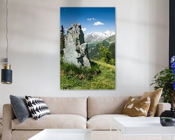 Alpenuitzicht in de Hohe Tauern in Oostenrijk van ManfredFotos