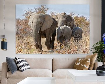 Olifantenfamilie in Namibië van Thomas Marx