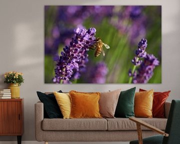 Bee on lavender by Karin Jähne