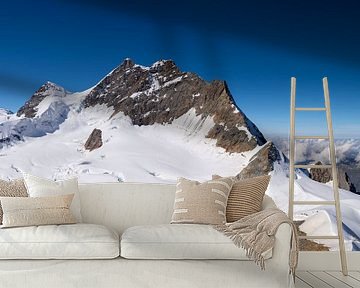 Jungfrau-Gipfel von Ronne Vinkx