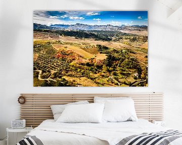 Mountain landscape Serrania de Ronda near Ronda in Andalusia Spain by Dieter Walther