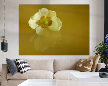 Witte bloem met groene achtergrond en reflectie van Linda van der Meer