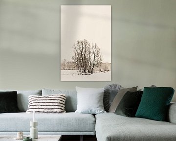 Bosje in sneeuw. van Rens Kromhout
