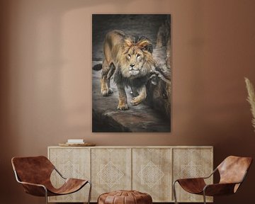 Photographie de lion mâle sur Nikki IJsendoorn