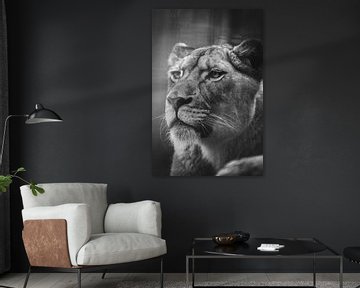 Portrait rapproché d'un lion