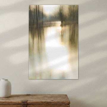 Bomen in het water_03