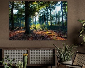 Herfst in het bos van Marloes Post