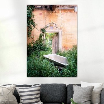 Abandoned Bathtub Between Plants. by Roman Robroek - Photos of Abandoned Buildings