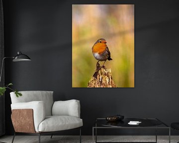 European Robin (Erithacus rubecula) perched on a trunck by AGAMI Photo Agency