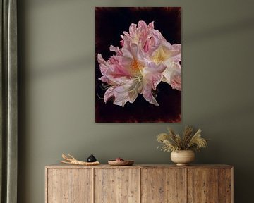 Rhododendron von Nanda Hoep