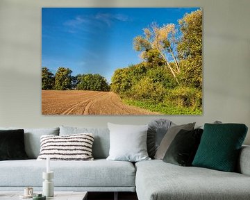 Landschap met akker en bomen bij Hohen Demzin van Rico Ködder