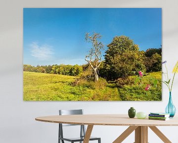 Landschap met pad en bomen bij Hohen Demzin van Rico Ködder