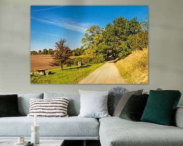 Paysage avec chemin et arbres près de Hohen Demzin sur Rico Ködder