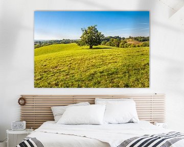 Landscape with paddock and trees near Hohen Demzin by Rico Ködder