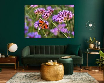 Fel gekleurde vlinder (dagpauwoog) op bloem (Verbena bonariensis) van Lieven Tomme