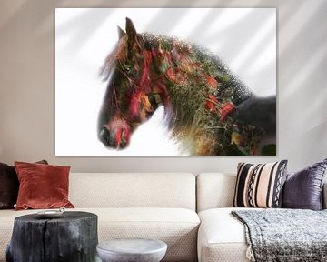 cheval d'automne sur Kim van Beveren