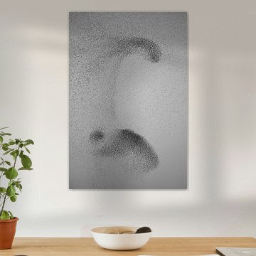 Essaim d'étourneaux sur Jarno van Bussel