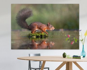 Eichhörnchen im Wasser von Lisette Sloet