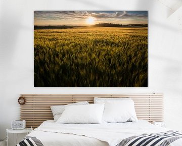 Getreidefeld mit Sonnenuntergang von Jarno van Bussel