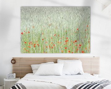 Painting of poppies by Jarno van Bussel