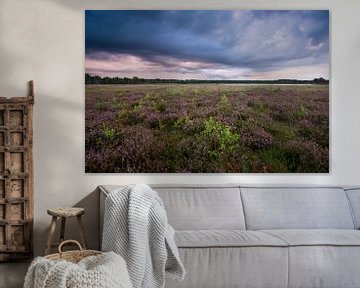 Bedrohliche Wolken über lila Heideflächen von Jarno van Bussel