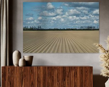 Aardappelruggen in het Zeeuwse land met fraaie wolkenlucht van Gert van Santen