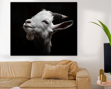 Zwart-wit portret van een geit van Jan Hermsen