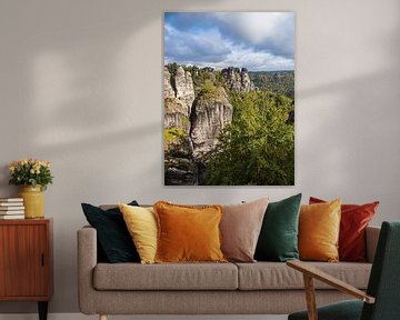 Vue de rochers et d'arbres en Suisse saxonne sur Rico Ködder