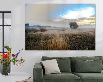 Matin sur la Strabrechtse Heide sur Mario Hendrikx